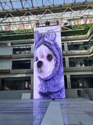 P3.9 외부에 설치할 수 있는 높은 밝기 유연 투명한 LED 스크린